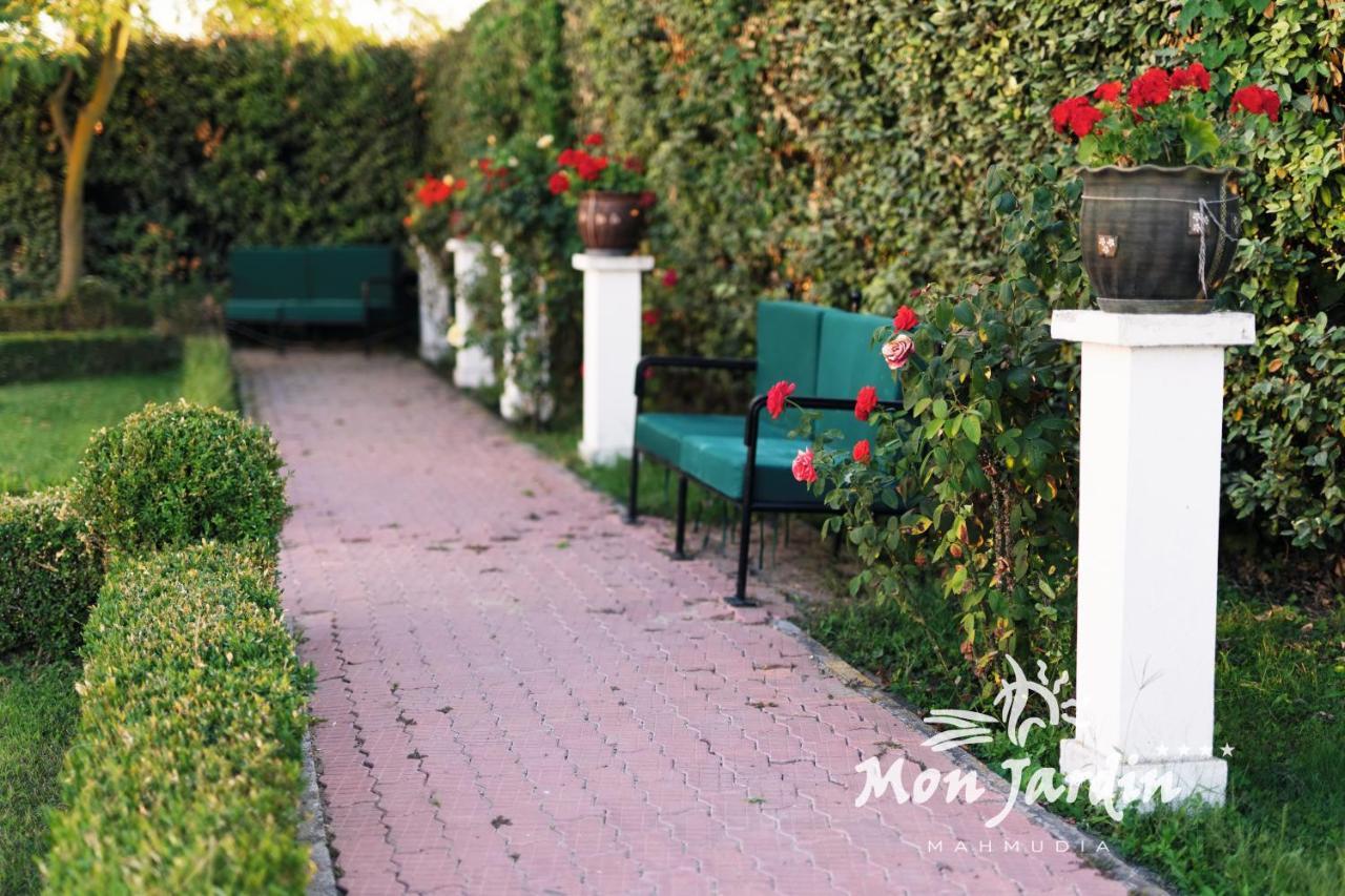Hotel Mon Jardin マフムディア エクステリア 写真